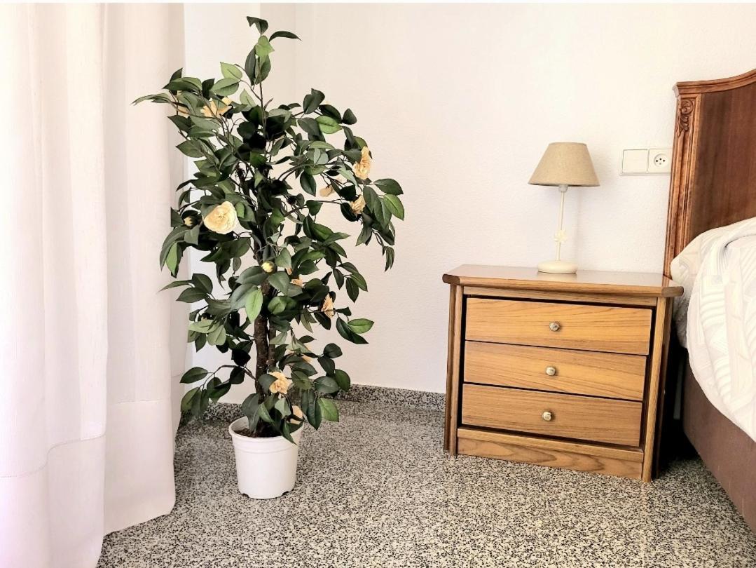 Apartamento Amistosa, Habitacion Con Balcon, Alicante, Playa, Centro, Rambla, Mercado Exterior foto